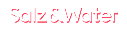 Logo Digitalagency Sticker by Salz & Water