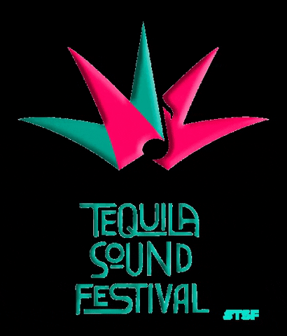 Tequilasoundfestival party festival tequila tsf GIF