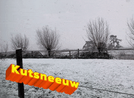Kutsneeuw GIF by BregenzerwaldAlpen