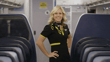 Spirit Airlines GIF