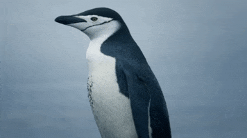 GIF by XiaomiEspana
