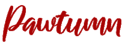 Pawtumn Sticker by silverpetprints
