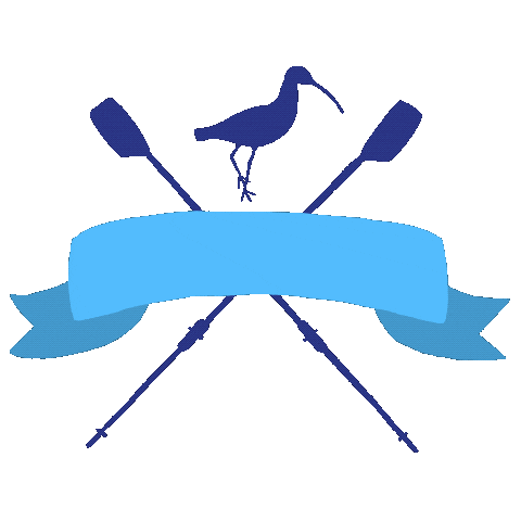 Curlew Sticker
