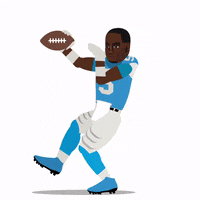 Excited Carolina Panthers GIF by SportsManias