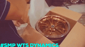 Smp Wts Dynamics Agsupercars Albyfast Pf1 Brixton Audi R8 GIF