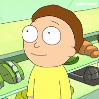 Season 1 Episode 107 GIF by Rick and Morty