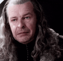 Lotr GIF