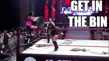 Wrestling GIF