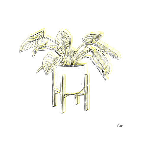 Plant GIF