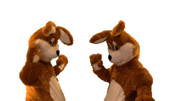 High Five We Did It Sticker by Boemeldonck