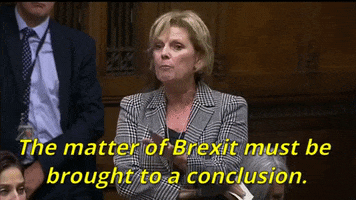 news brexit parliament house of commons brexit debate GIF