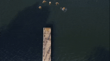 wonderfulwildwomen GIF