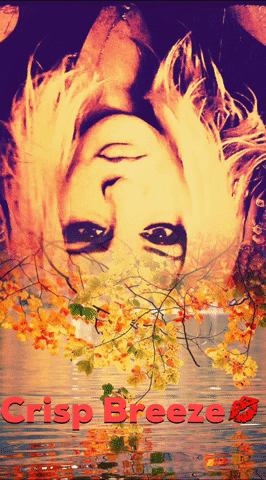Fall GIF