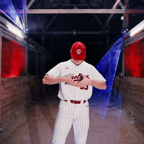Home Run Celebration GIF by Gamecock Athletics
