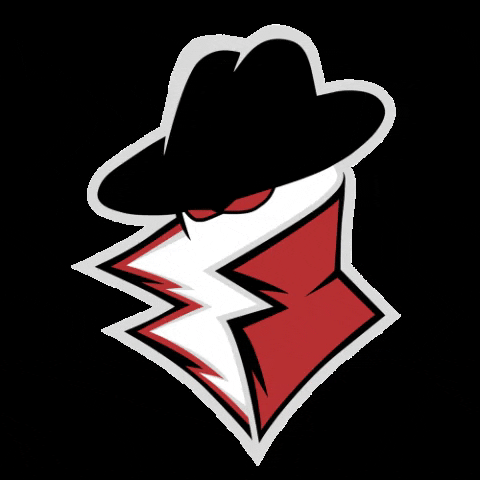 Csgo GIF by Private Esports