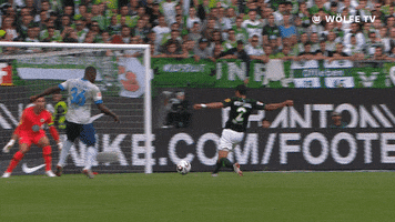football save GIF by VfL Wolfsburg