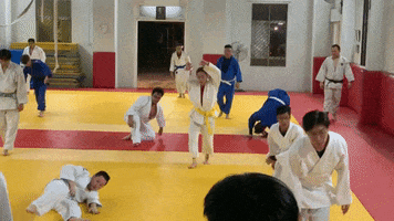 Rollllll GIF