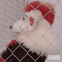 200.gif?cid=fc005b0842b97549ca4a7a77694ba9cbd851e7203bbee550&rid=200.gif&ct=g