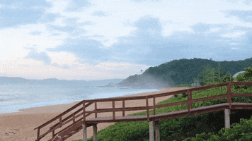 Fundação Cultural de Balneário Camboriú GIF