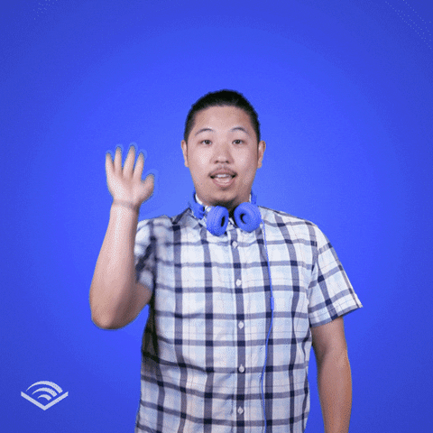 Best Friend Yes GIF by Audible