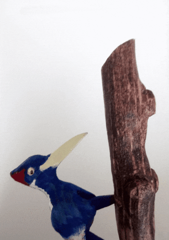 Automata Pajaro Pinza GIF