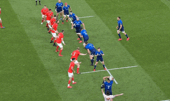 Munster GIF by Rugbydump