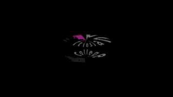 Friesland College GIF