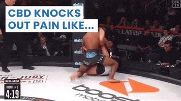 Mma Fighting GIF by Experience CBD