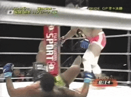 Mma GIF