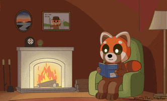 wafflethelittlefox fire reading warm comfy GIF