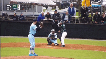 Baseball GIF