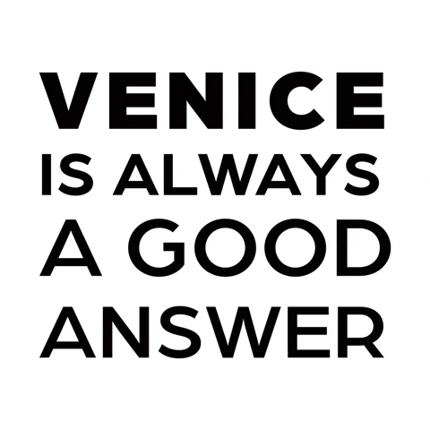 Venicebaywebagency GIF by Venice Bay