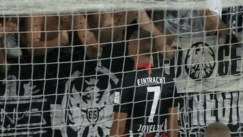 Fans Sge GIF by Eintracht Frankfurt