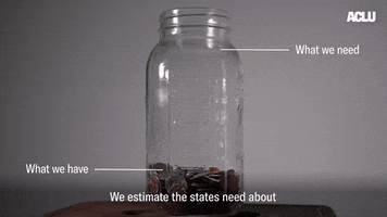 Money Voting GIF by ACLU