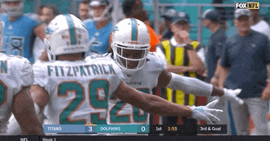 High Five Miami Football GIF by Miami Dolphins