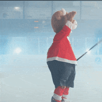 Ice Hockey GIF by Zurich Insurance Company Ltd