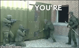 funny animated GIF
