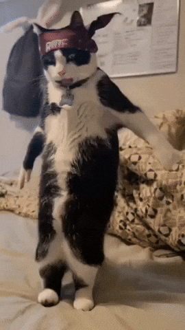 Jookin GIF