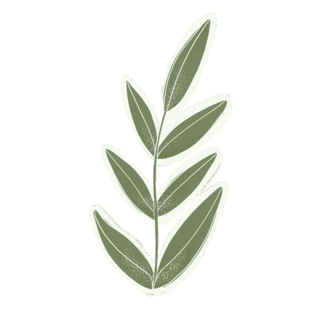 Illustration Sticker