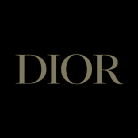 Fashion Butterfly GIF by Dior