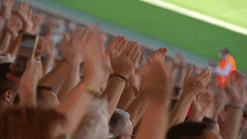 Ligue 1 Supporters GIF by Nîmes Olympique