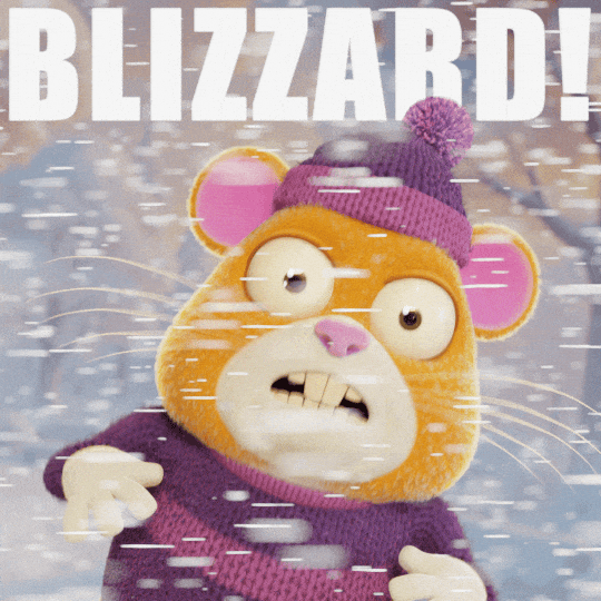 Freezing Snow Day GIF by Grind