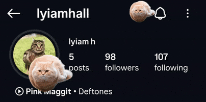 Ballcat GIF