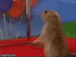 https://media1.giphy.com/media/kKdgdeuO2M08M/giphy.gif?cid=28f76e613ag2ssku0js6y8ndgd55sx2pebiczbps678f3sap&ep=v1_gifs_search&rid=giphy.gif&ct=g