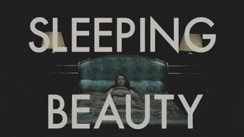 Sleeping Beauty Bed GIF