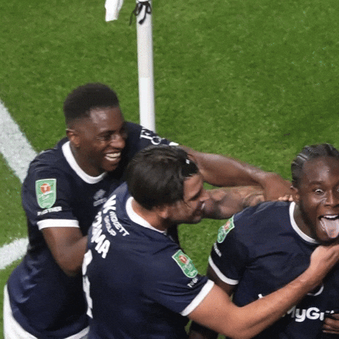 The Den Hug GIF by MillwallFC