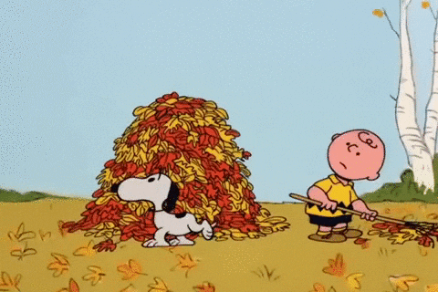 Charlie Brown Halloween GIF by Peanuts - Find & Share on GIPHY