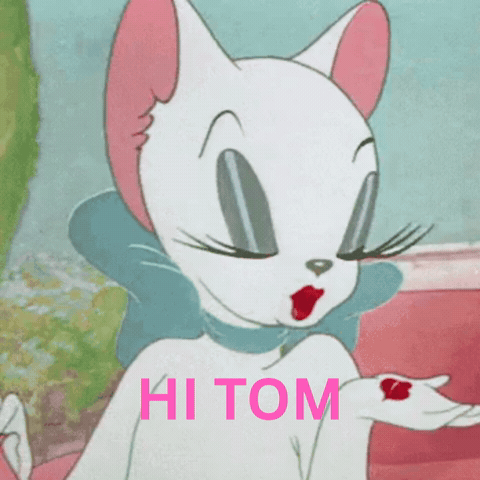 Hi Tom GIF
