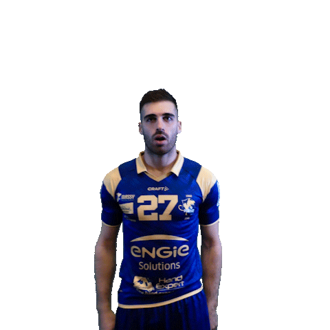 Sport Celebration Sticker by Massy Essonne Handball