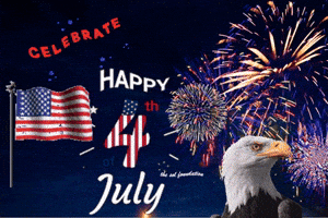 Happy Fourth Of July GIF by The SOL Foundation
